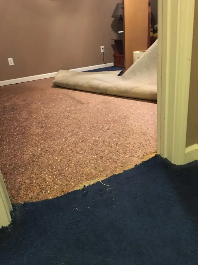 Carpet pad removal revealing water damage during Water Mitigation Services in Royalton